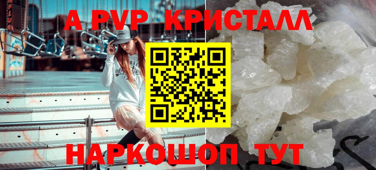 Альфа ПВП СК КРИС Черкесск