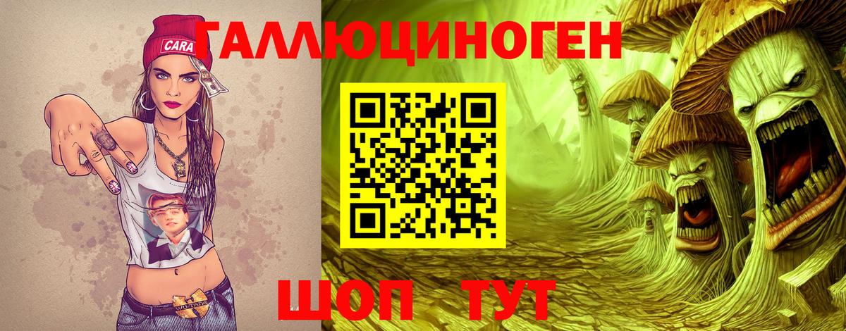 Черкесск  Псилоцибиновые грибы Psilocybine cubensis  Вход с VPN 
