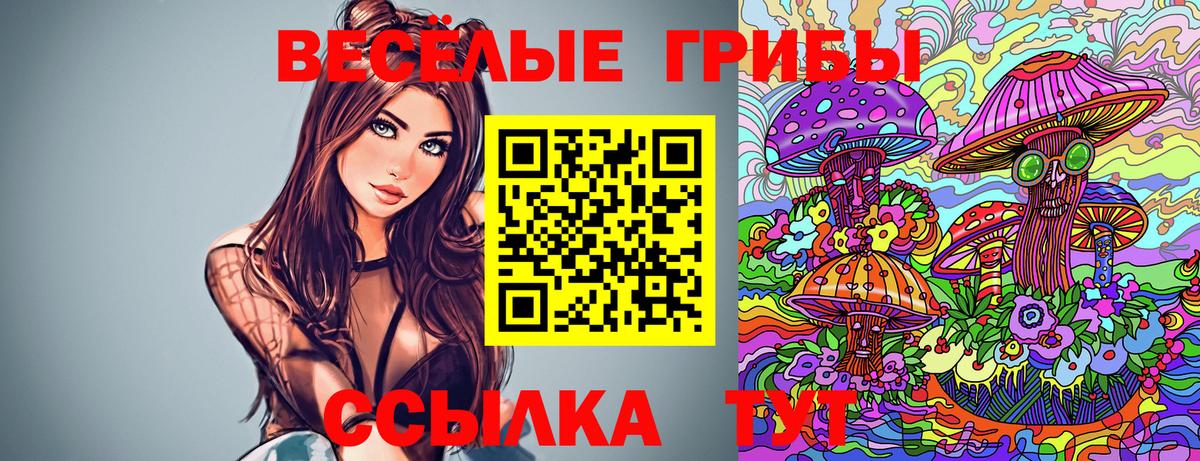 Галлюциногенные грибы Cubensis Черкесск